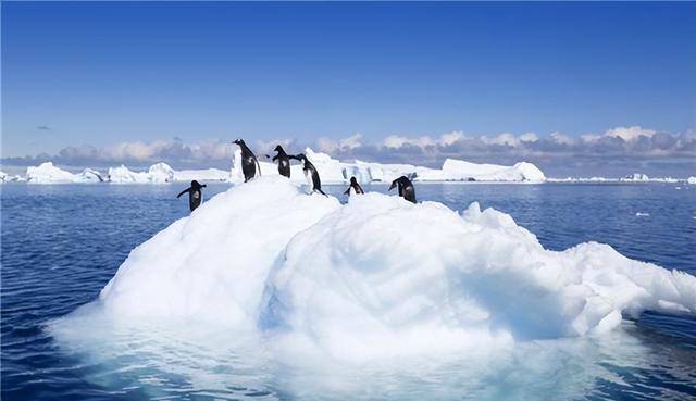 南极洲冰雪的平均厚度是多少